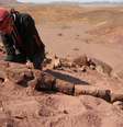 A paleontóloga argentina Claudia Marsicano, ao descobrir o fóssil, disse saber “que era algo completamente diferente”  Foto: Reuters / BBC News Brasil