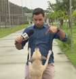 Cachorrinho 'invade' reportagem ao vivo no Recife.  Foto: Reprodução/TV Globo