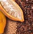 Vejas as várias formas de usar o cacau na culinária  Foto: Shutterstock / Alto Astral