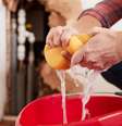 5 dicas para economizar água durante a limpeza da casa  Foto: Divulgação/Bettanin/Casa.com.br / Casa.com
