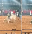 Peão morre após ser pisoteado por touro em torneio no MS  Foto: Reprodução/Redes Sociais