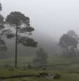  Foto: Climatempo