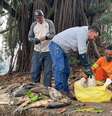 Muitos peixes morreram em razão do despejo irregular de rejeitos industriais no rio Piracicaba  Foto: Centro de Comuicação Social/Prefeitura de Piracicaba / Perfil Brasil