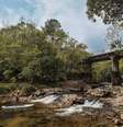 Selva SP, em Marsilac   Foto: Alécio Cezar/Divulgação / Viagem em Pauta