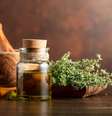 Usar óleo essencial de tomilho em um difusor de aromaterapia pode melhorar o humor  Foto: iStock / Jairo Bouer