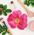 Cosméticos veganos são livres de subprodutos de animais, como corantes de insetos e seda  Foto: Anna Ok | Shutterstock / Portal EdiCase
