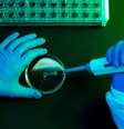 Cientistas tentam organizar como definir os nomes dos inúmeros vírus sendo descobertos nos últimos anos  Foto: Getty Images / BBC News Brasil