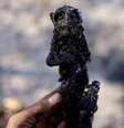 Fogo devasta flora e fauna no Pantanal  Foto: DW / Deutsche Welle