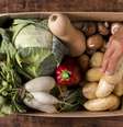Veja os benefícios e como adicionar alimentos orgânicos em sua rotina alimentar  Foto: Freepik/Divulgação / Boa Forma