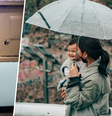 Foto: Grant Durr (Unsplash) e Daniel Bernard (Unsplash) / Minha Vida