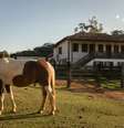 A família Simões, dona da fazenda, iniciou a movimentação para o queijo do Serro se tornar patrimônio imaterial mineiro  Foto: Isis Medeiros/Divulgação / Viagem e Turismo