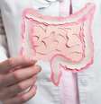 O intestino é nosso segundo cérebro  Foto: Canva / Bons Fluidos