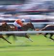 Uso de cavalos em práticas esportivas tem fomentado discussões mundo afora  Foto: Getty Images / BBC News Brasil