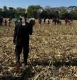 Foram registrados cerco a indígenas guarani kaiowá em retomadas de área no Mato Grosso do Sul  Foto: Reprodução: Eloy Terena/Instagram