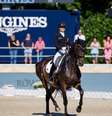 Charlotte Dujardin vai ficar de fora das competições por seis meses, suspensa pela Federação Internacional Equestre  Foto: Divulgação/FEI
