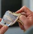 Veneno poderia matar 400 pessoas  Foto: Australian Reptile Park