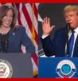 Novas pesquisas mostram disputa acirrada entre Kamala Harris e Donald Trump  Foto: 