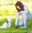 Evitar o contato com as fezes e urina de pets é fundamental para evitar doenças causadas por parasitas  Foto: Monika Wisniewska | Shutterstock / Portal EdiCase
