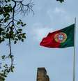 Brasileiros alertam para golpe em imigração portuguesa  Foto: Pexels