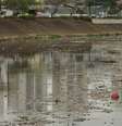 Rio Sena nas Olimpíadas  Foto: Esporte News Mundo