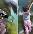 O registro foi feito por uma brasileira, que levou os filhos ao zoológico de Miami, nos EUA  Foto: Reprodução/Instagram/@afamiliaduarte_