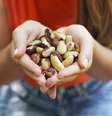 Benefícios das castanhas: saiba quais são eles  Foto: Shutterstock / Alto Astral