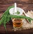 Chá de cavalinha com limão  Foto: Lipatova Maryna | Shutterstock / Portal EdiCase