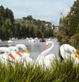 Pedalinhos no Lago Negro, em Gramado (RS)  Foto: Yeuxpapilon/Wikimedia Commons / Viagem e Turismo