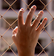 Quase 70% das vítimas de feminicídio foram mortas dentro de casa em SP  Foto: TV Brasil