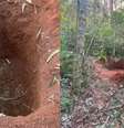 SC: Mulher que teria aberto cova para enterrar ex é encontrada morta; atual namorado é preso  Foto: Reprodução/NSC TV