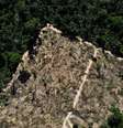 Imagem aérea de trecho desmatado da floresta amazônica no Pará
14/07/2021
REUTERS/Bruno Kelly  Foto: Reuters