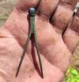 Artefato foi encontrado em um jardim na Polônia  Foto: Reprodução