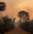 Desmatamento é um dos agravantes para o fogo  Foto: DW / Deutsche Welle