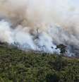 Incêndio no parque Guajará  Foto: Mirim, no estado de Rondônia -  PrevFogo/Divulgação / Perfil Brasil