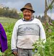 Agricultores indígenas em um campo de quinoa no Equador  Foto: Getty Images / BBC News Brasil