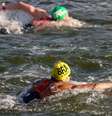 'Cachorrão' disputa a maratona aquática em Paris  Foto: Gaspar Nóbrega/COB