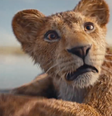 Em Mufasa: O Rei Leão, a Disney vai revelar o que afastou os "irmãos" Mufasa e Scar (Imagem: Disney)  Foto: Canaltech