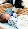 Alguns cuidados são importantes para ajudar o cachorro a se adaptar ao bebê  Foto: Leszek Glasner | Shutterstock / Portal EdiCase