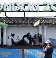 Novo mural do artista de rua Banksy no zoológico de Londres
13/08/2024 REUTERS/Hollie Adams  Foto: Reuters