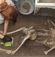 Cientista analisa os restos mortais encontrados em Pompeia  Foto: Reuters / BBC News Brasil