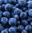 O mirtilo contém diversas nutrientes que beneficiam a saúde geral do corpo  Foto: vetre | Shutterstock / Portal EdiCase