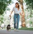 Passear com os cachorros é primordial para manter a sua saúde  Foto: oatawa | Shutterstock / Portal EdiCase