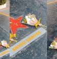 Flores foram usadas em pequena homenagem de funcionários a Silvio Santos no SBT  Foto: Reprodução/TikTok