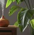 Aprenda a umidificar o ar dos ambientes da sua casa  Foto: Shutterstock / Alto Astral