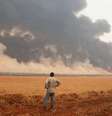 Os incêndios atingiram 20 mil hectares de São Paulo, segundo o governador  Foto: REUTERS/Joel Silva