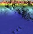 A zona colorida em azul é a Planície Abissal da Ferradura, abaixo da qual foi encontrada a anomalia nas placas tectônicas  Foto: Imagens cedidas por João Duarte / BBC News Brasil