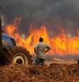 Incêndio em plantação de cana de açúcar em Dumont (SP) 24/08/2024  Foto: REUTERS/Joel Silva
