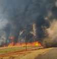 Seis pessoas já foram presas em decorrências dos incêndios em São Paulo; queimadas ganharam força na sexta-feira, 23  Foto: Divulgação/Corpo de Bombeiros / Estadão