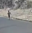 Flagrado por câmera saindo de mata antes de início de queimada, homem é identificado e indiciado   Foto: Reprodução