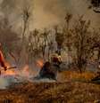 Brigadistas do Instituto Brasília Ambiental e Bombeiros do Distrito Federal combatem incêndio em área de cerrado próxima ao aeroporto de Brasília.  Foto: Marcelo Camargo/Agencia Brasil / Estadão
